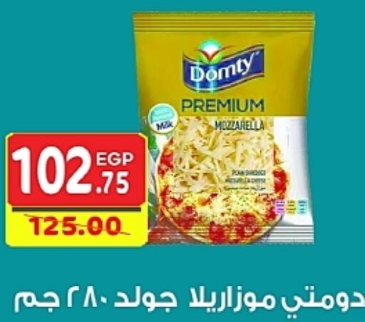 DOMTY Mozzarella  in Bashayer hypermarket in Egypt - Cairo