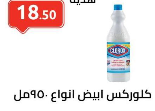 CLOROX General Cleaner  in El-Hawary Market in Egypt - Cairo