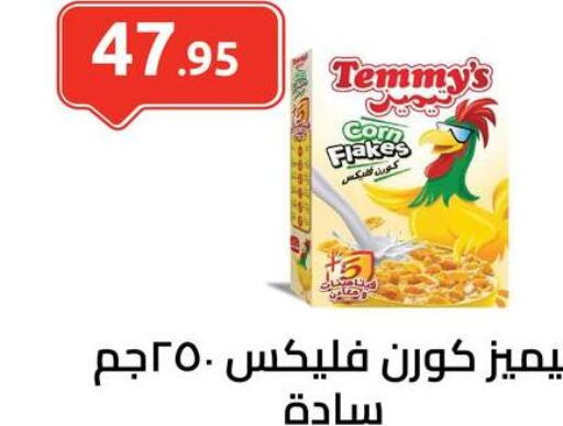 TEMMYS Cereals  in El-Hawary Market in Egypt - Cairo