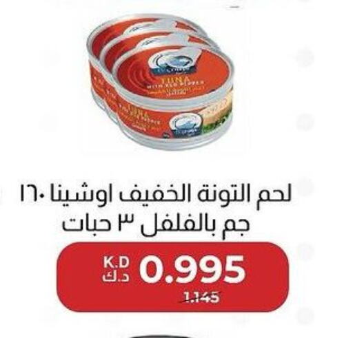  Tuna - Canned  in  Adailiya Cooperative Society in Kuwait - Ahmadi Governorate