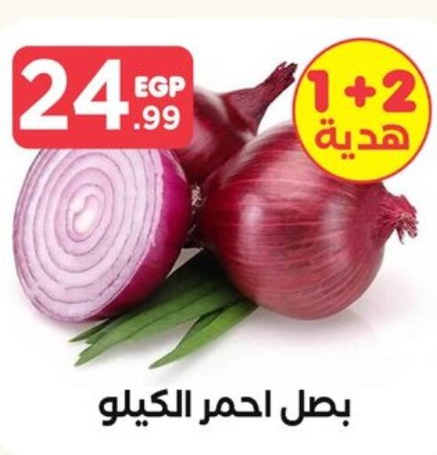  Onion  in المحلاوي ستورز in Egypt - القاهرة