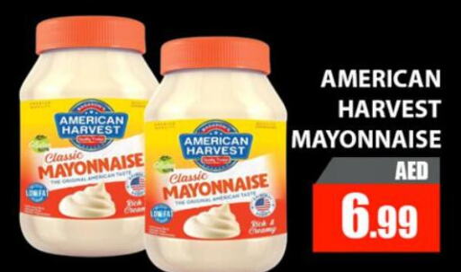 AMERICAN CLASSIC Mayonnaise  in المدينة in الإمارات العربية المتحدة , الامارات - دبي