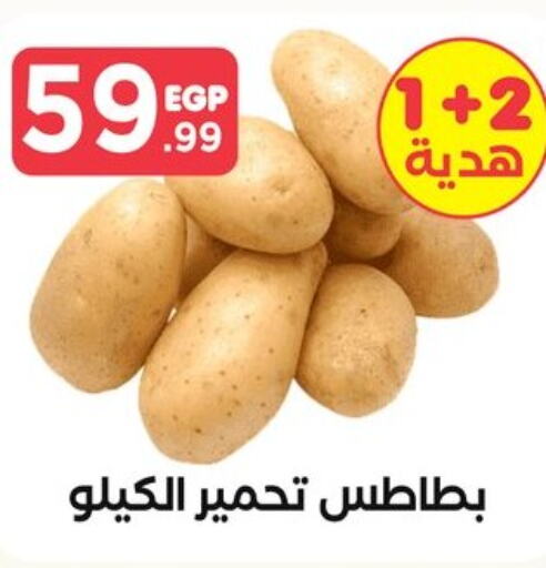  Potato  in المحلاوي ستورز in Egypt - القاهرة