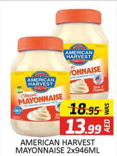 AMERICAN CLASSIC Mayonnaise  in Al Madina  in UAE - Dubai