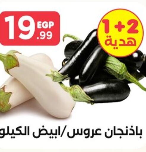  Chilli / Capsicum  in المحلاوي ستورز in Egypt - القاهرة