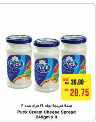 PUCK Cream Cheese  in ايـــرث سوبرماركت in الإمارات العربية المتحدة , الامارات - أبو ظبي