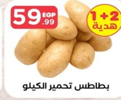  Potato  in المحلاوي ستورز in Egypt - القاهرة