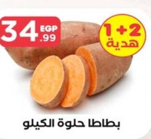  Sweet Potato  in المحلاوي ستورز in Egypt - القاهرة
