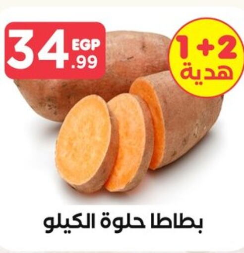  Sweet Potato  in المحلاوي ستورز in Egypt - القاهرة