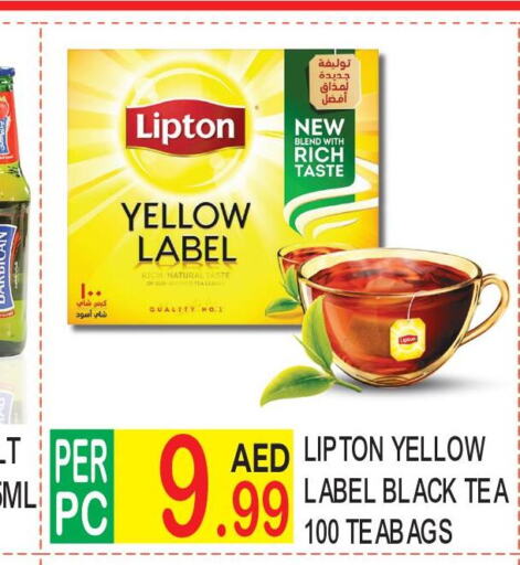 Lipton