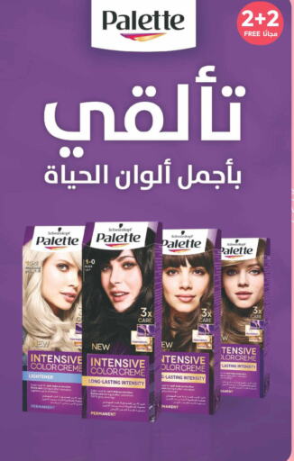 PALETTE Hair Colour  in United Pharmacies in KSA, Saudi Arabia, Saudi - Saihat