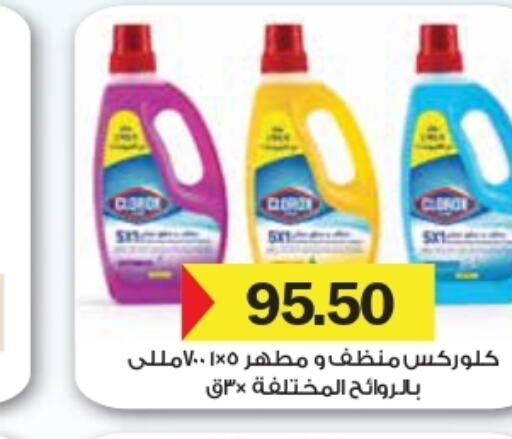 CLOROX General Cleaner  in رويال هاوس in Egypt - القاهرة