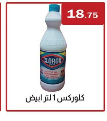 CLOROX General Cleaner  in ABA market in Egypt - Cairo