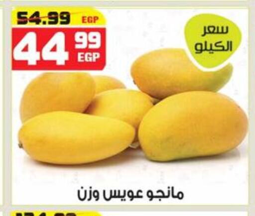 Mango Mangoes  in Hyper Mousa in Egypt - Cairo