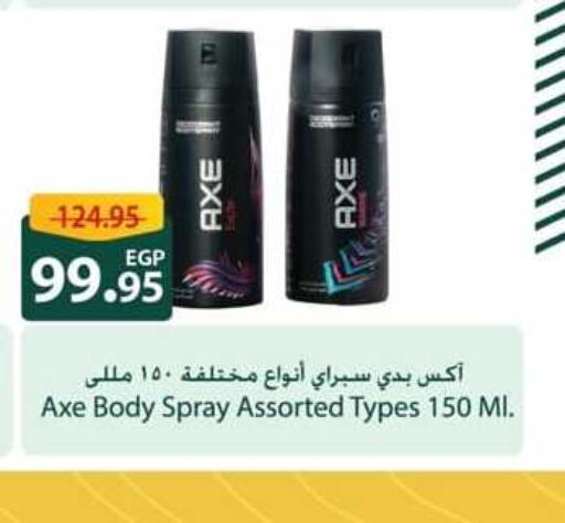 AXE   in Spinneys  in Egypt - Cairo