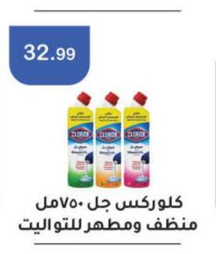 CLOROX General Cleaner  in ابو السعود هايبرماركت in Egypt - القاهرة