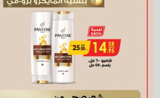 PANTENE Shampoo / Conditioner  in Danube in KSA, Saudi Arabia, Saudi - Jeddah