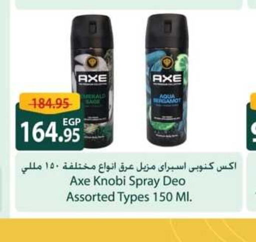 AXE   in Spinneys  in Egypt - Cairo