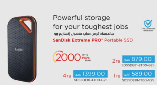 SANDISK Flash Drive  in لولو هايبرماركت in قطر - الخور