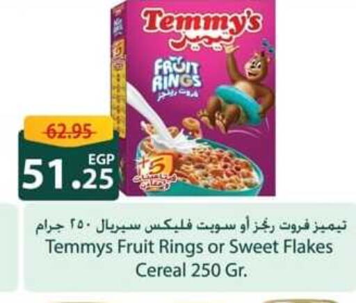 TEMMYS Cereals  in Spinneys  in Egypt - Cairo