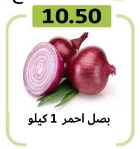  Onion  in جرين هايبر ماركت in Egypt - القاهرة