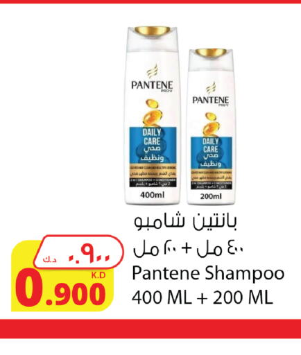 PANTENE Shampoo / Conditioner  in شركة المنتجات الزراعية الغذائية in الكويت - مدينة الكويت