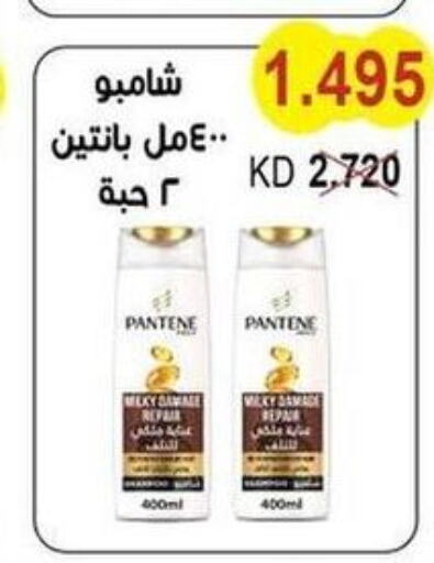 PANTENE Shampoo / Conditioner  in جمعية سلوى التعاونية in الكويت - مدينة الكويت