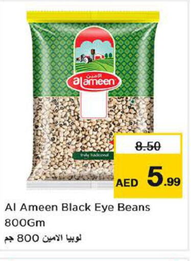 AL AMEEN   in Nesto Hypermarket in UAE - Abu Dhabi