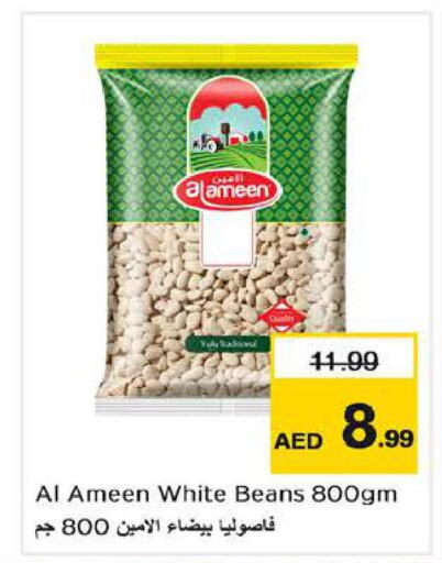 AL AMEEN   in Nesto Hypermarket in UAE - Abu Dhabi