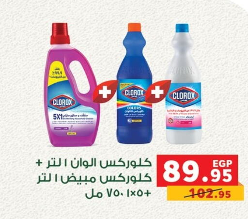 CLOROX General Cleaner  in بنده in Egypt - القاهرة