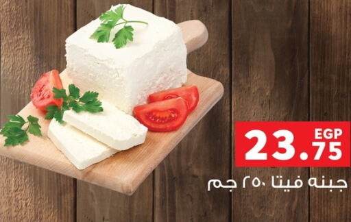  Feta  in بنده in Egypt - القاهرة