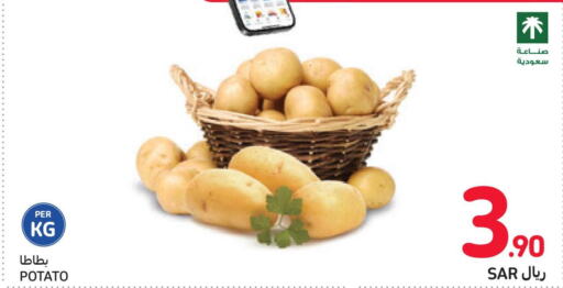  Potato  in Carrefour in KSA, Saudi Arabia, Saudi - Jeddah