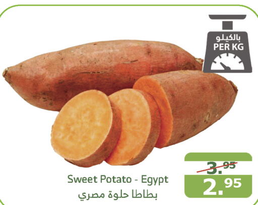  Sweet Potato  in Al Raya in KSA, Saudi Arabia, Saudi - Jeddah