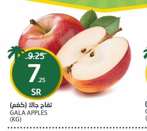  Apples  in مركز الجزيرة للتسوق in مملكة العربية السعودية, السعودية, سعودية - الرياض