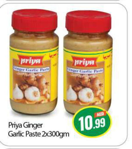 PRIYA Garlic Paste  in BIGmart in UAE - Abu Dhabi