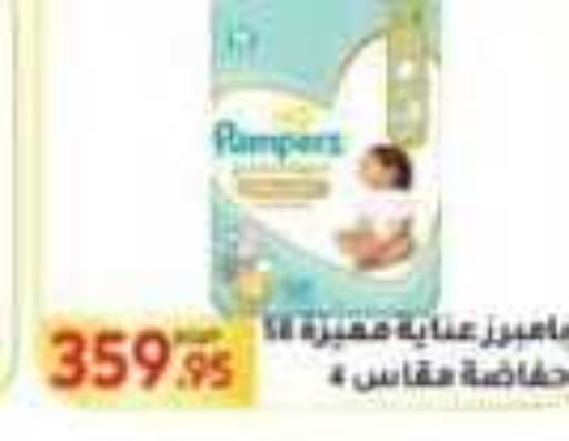 Pampers   in المحلاوي ماركت in Egypt - القاهرة