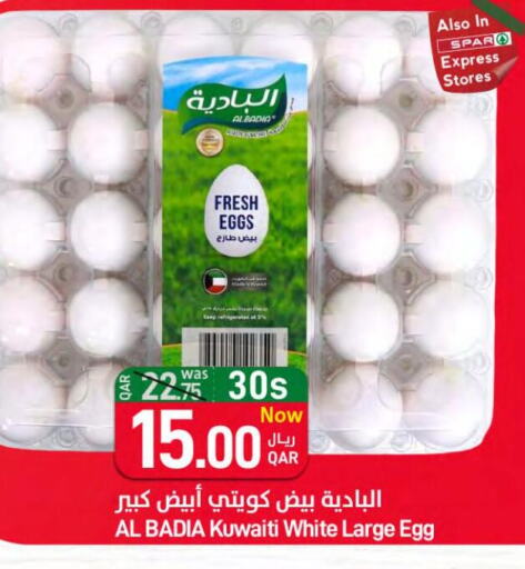    in SPAR in Qatar - Umm Salal