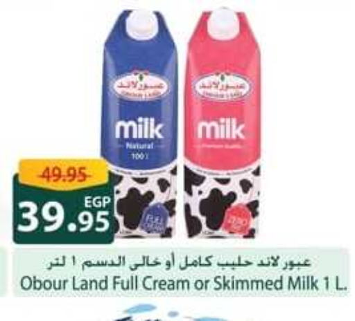  Full Cream Milk  in Spinneys  in Egypt - Cairo