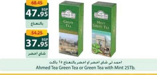 AHMAD TEA Green Tea  in Spinneys  in Egypt - Cairo