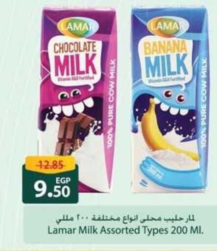  Flavoured Milk  in Spinneys  in Egypt - Cairo