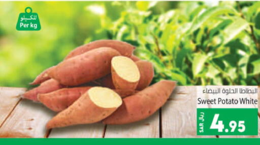  Sweet Potato  in Kabayan Hypermarket in KSA, Saudi Arabia, Saudi - Jeddah