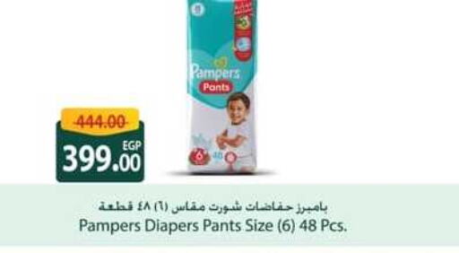 Pampers   in سبينس in Egypt - القاهرة