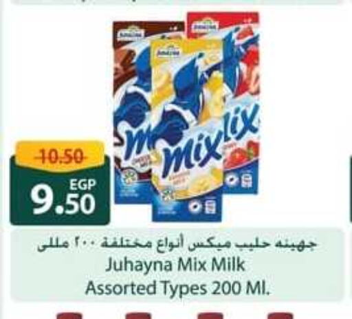  Flavoured Milk  in Spinneys  in Egypt - Cairo