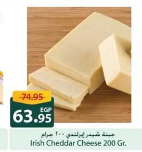  Cheddar Cheese  in Spinneys  in Egypt - Cairo