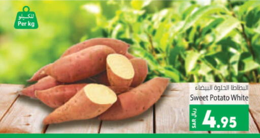  Sweet Potato  in Kabayan Hypermarket in KSA, Saudi Arabia, Saudi - Jeddah