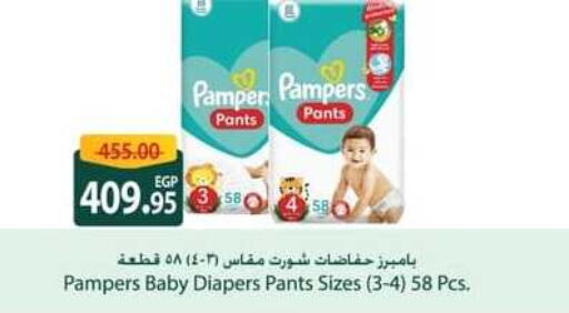 Pampers   in سبينس in Egypt - القاهرة