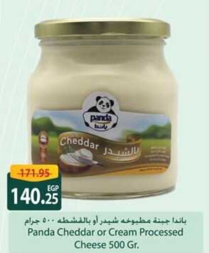 PANDA Cheddar Cheese  in Spinneys  in Egypt - Cairo