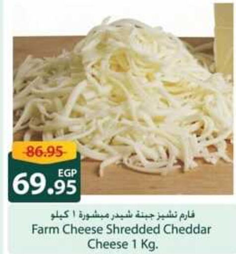  Cheddar Cheese  in Spinneys  in Egypt - Cairo