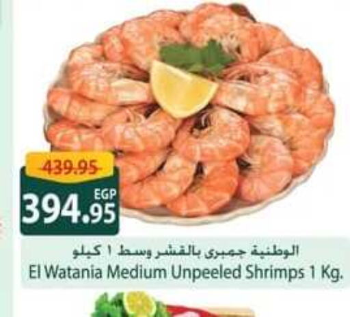    in Spinneys  in Egypt - Cairo