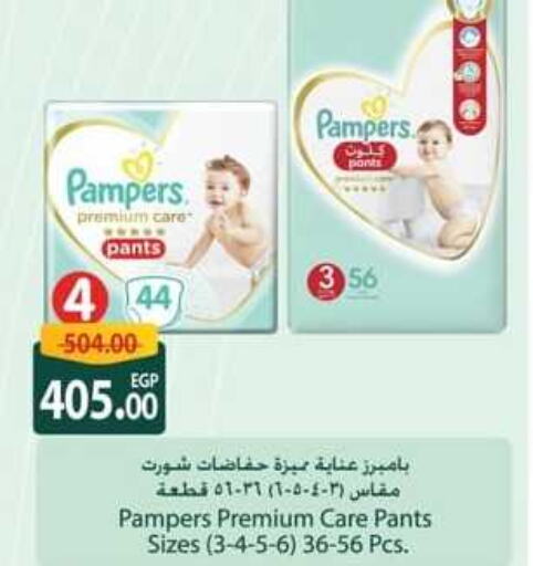 Pampers   in سبينس in Egypt - القاهرة